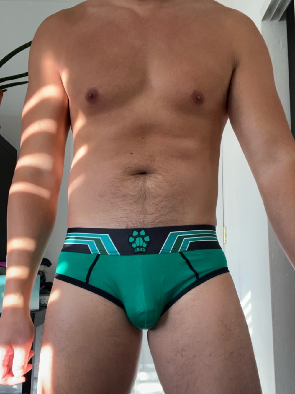 Cellblock13 Kennel Club Bandit Jock Brief - Picture 5 of 5